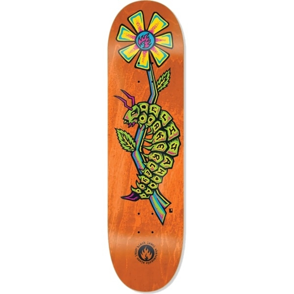 Cal-Surf | Skate Shop and Snowboard Shop