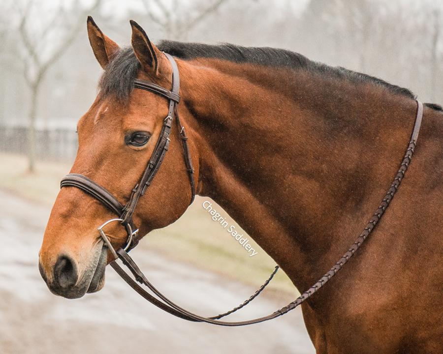 Edgewood Leather Pre-Oiled 1 IN Fancy Stitched Padded Bridle