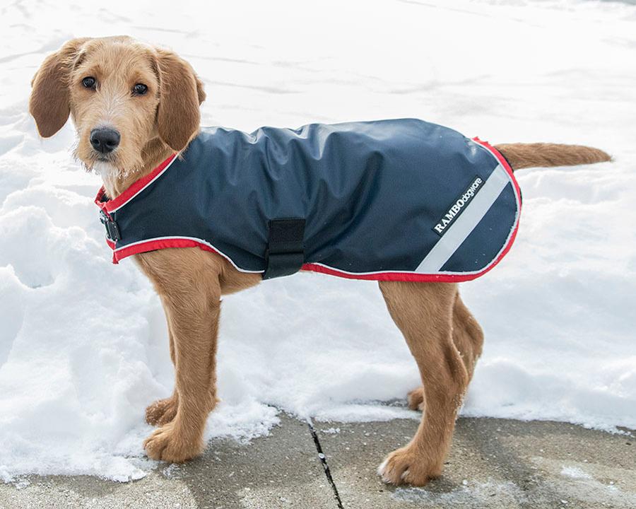 Waterproof Dog Rugs