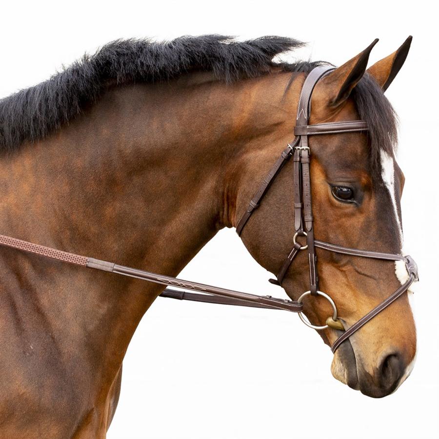 小物 WILDSWANS ENGLISH BRIDLE WILD TONGUE ExionPro Figure 8 Bridle | English Horse Riding Premium Tack