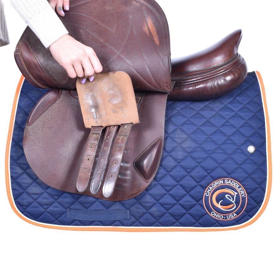 Albion 17.5 IN Albion Evolve Elite Lux Saddle Medium Wide