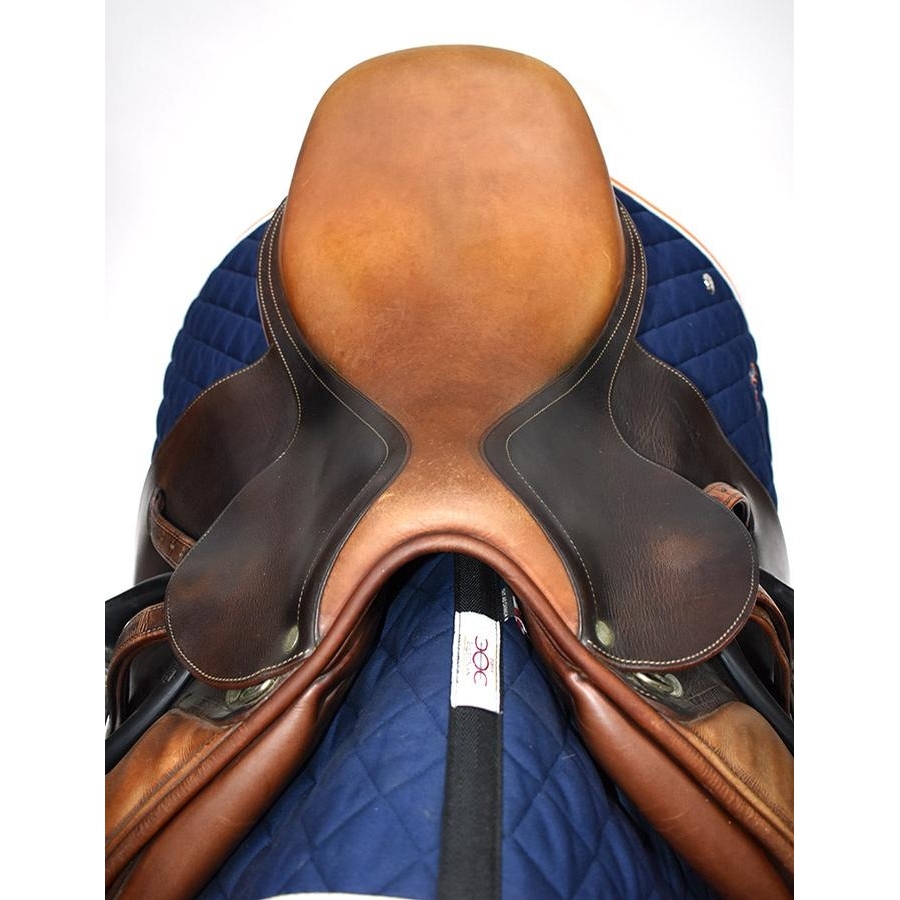 Antares 17 IN Antares Saddle Medium Wide Tree 2001 Jumping Close