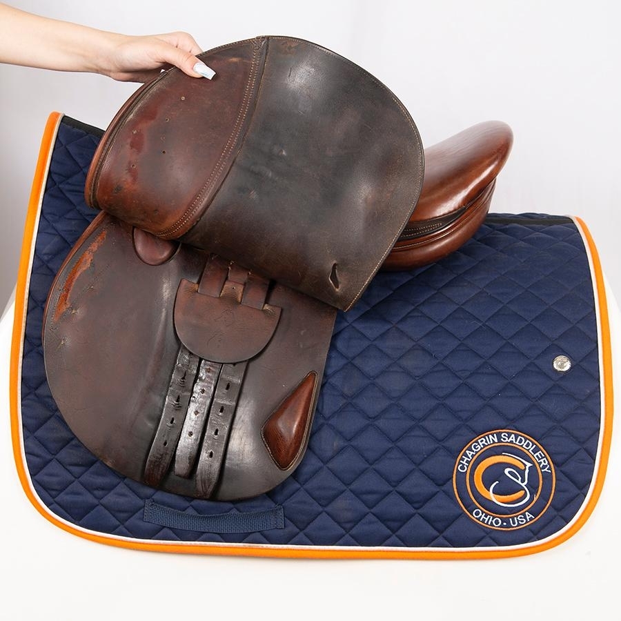 Antares 16.5 IN Antares Saddle Medium Wide Tree 2002 Jumping Close