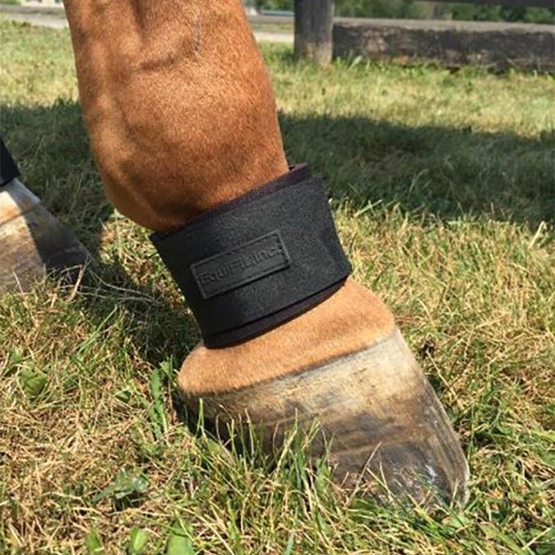 EquiFit Inc Pastern Wraps Hind Boots at Chagrin Saddlery Main