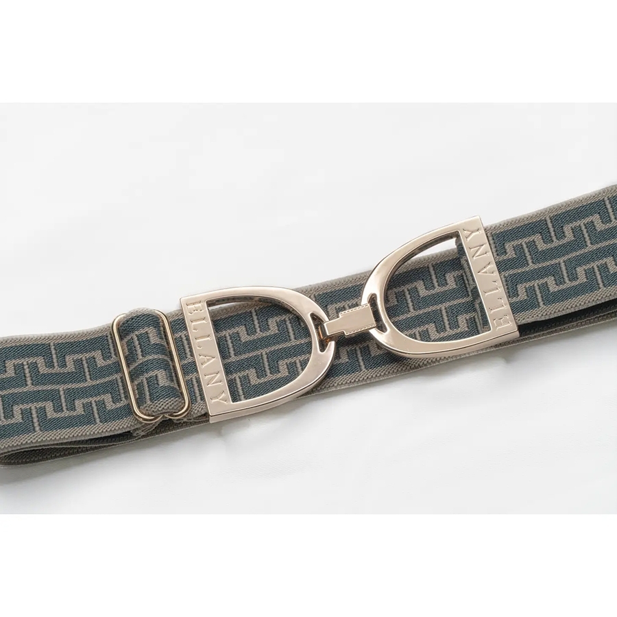 Brown Horse Side View With Saddle, Stirrups, Blanket Is Tied Next To Transport Waiting For Rider You See Him Standing With Mane And Tale Groomed Image553364459