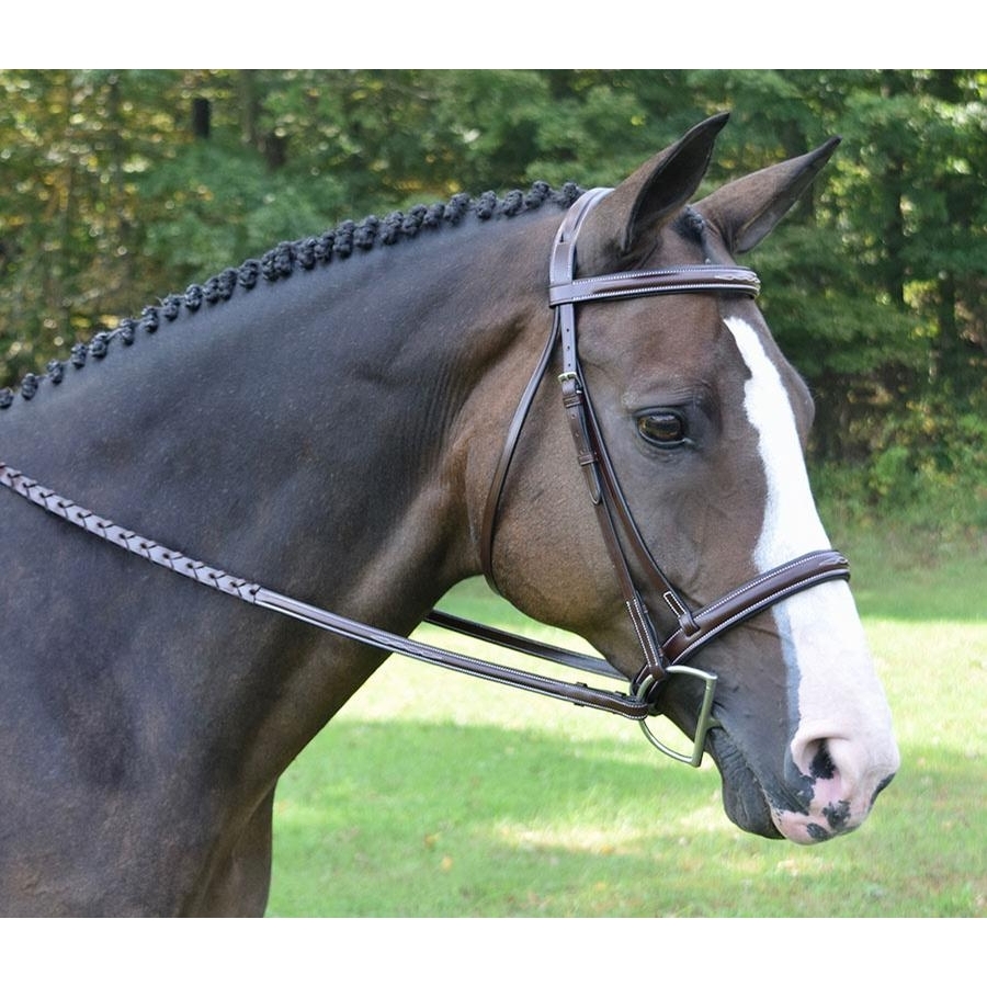 Bobby's English Tack Silver Spur Heavy Duty Designer Fancy Stitched Perfect Raised Browband & Double Adjtable Leather Halter | English Horse Tack (1, COB