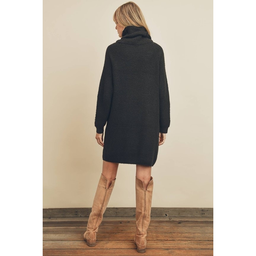 Turtleneck Sweater Dress (Black)