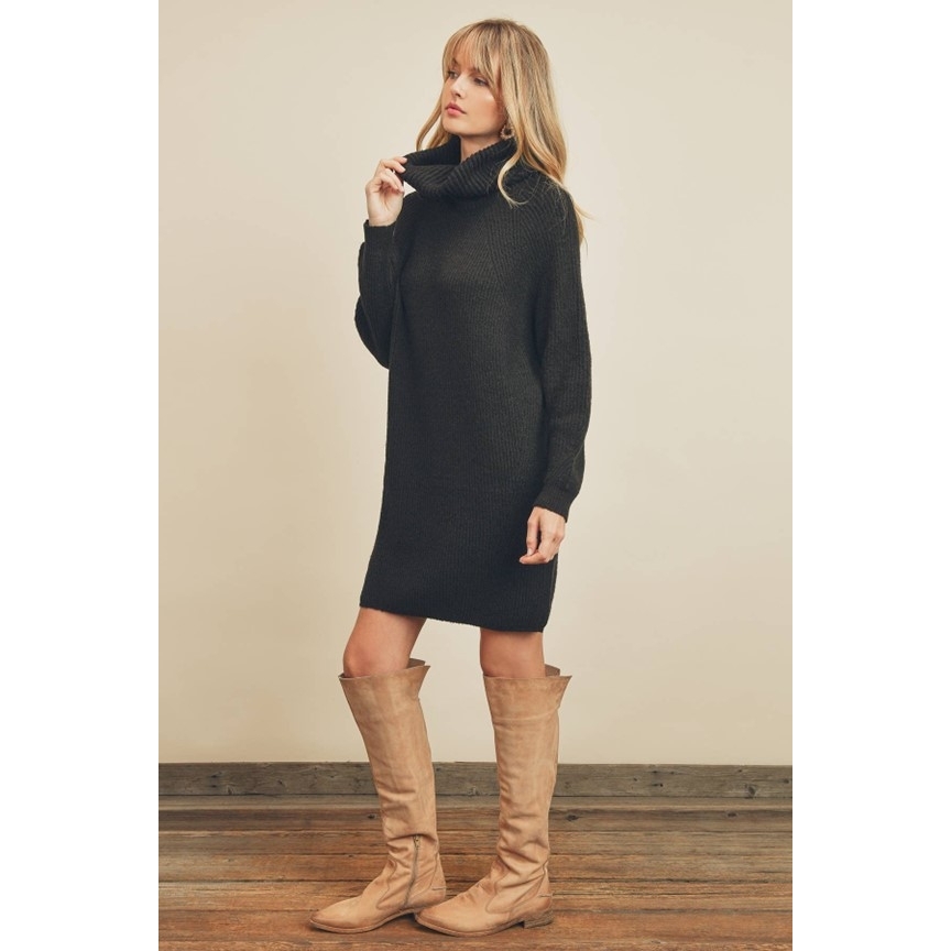 Turtleneck Sweater Dress (Black)
