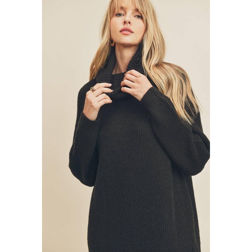 Turtleneck Sweater Dress (Black)
