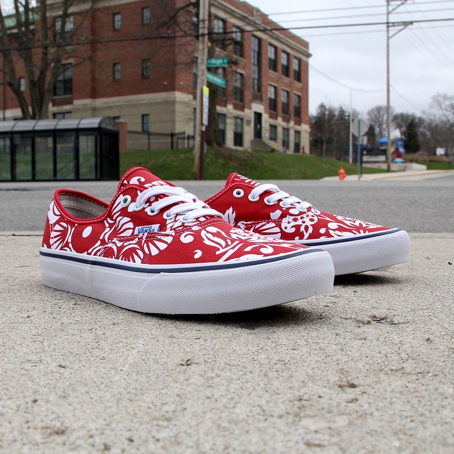 vans authentic pro 66