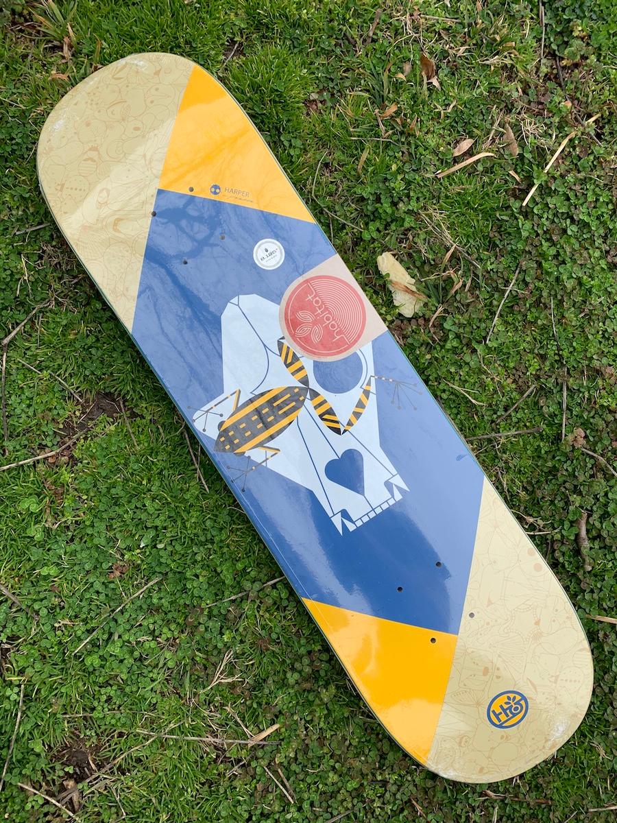 Habitat Poison Dart Frog Decks At Home Skateshop