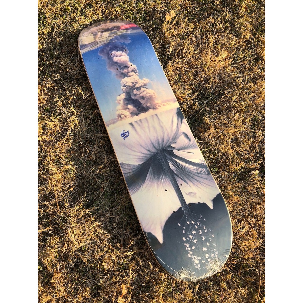 The Killing Floor Paradox Bomb Deck Decks At Home Skateshop