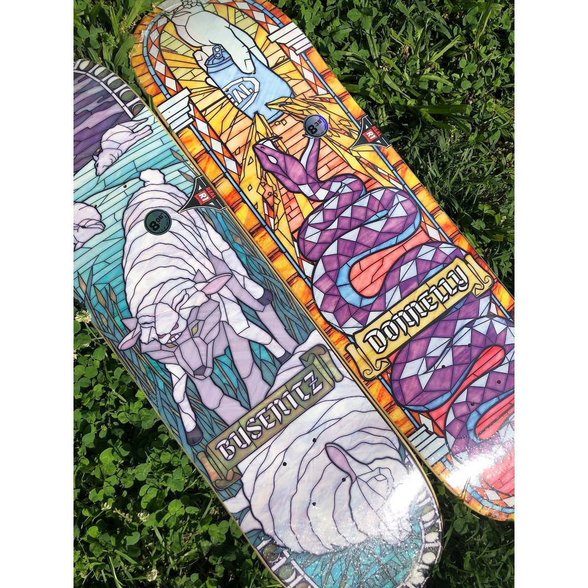 8.50/" Multi Real Zion Cathedral Skateboard Deck