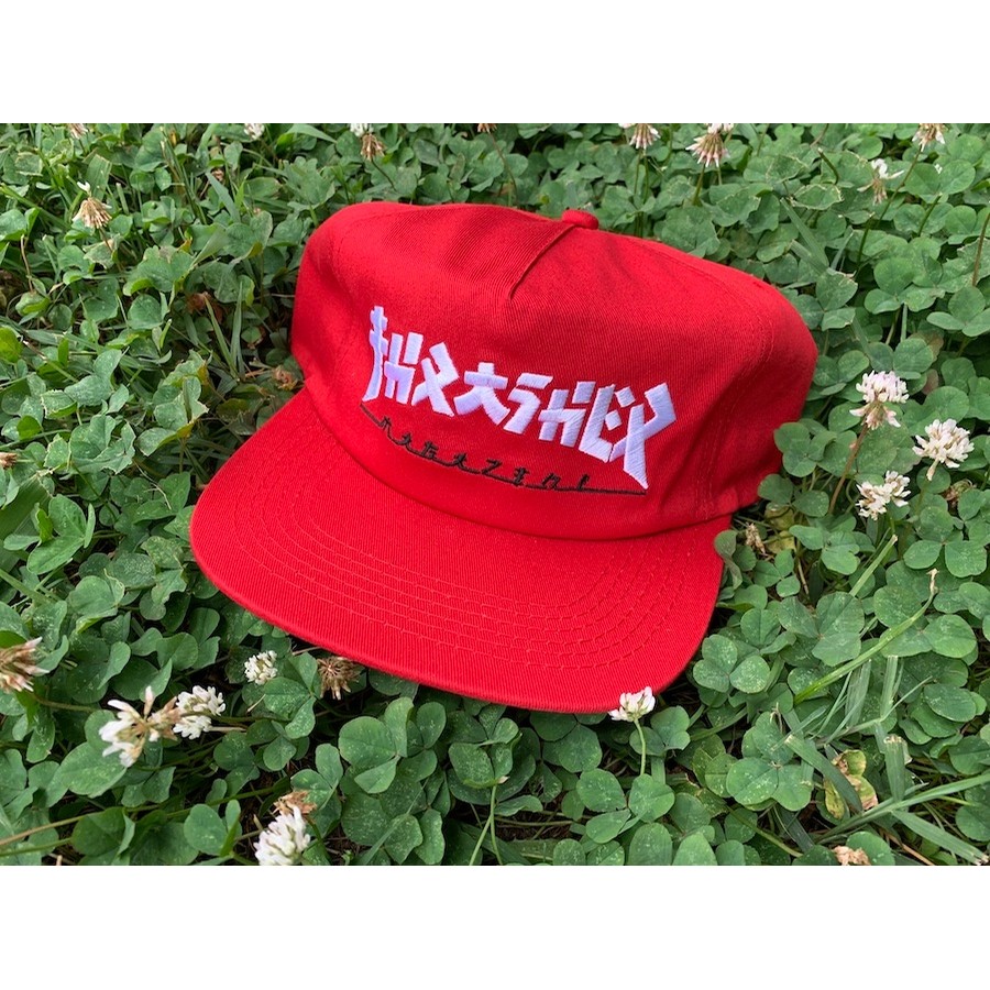 hollister 84798