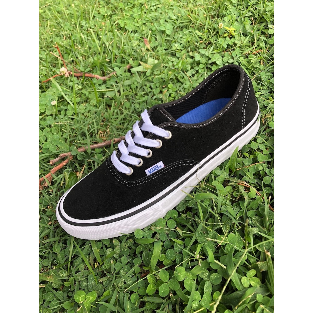 vans authentic jogger