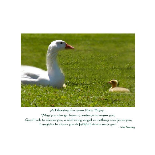 Irish Baby Card
