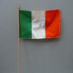 RIN 4in. x 6in. Irish Flag