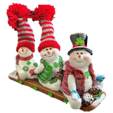 Irish Family on Sled