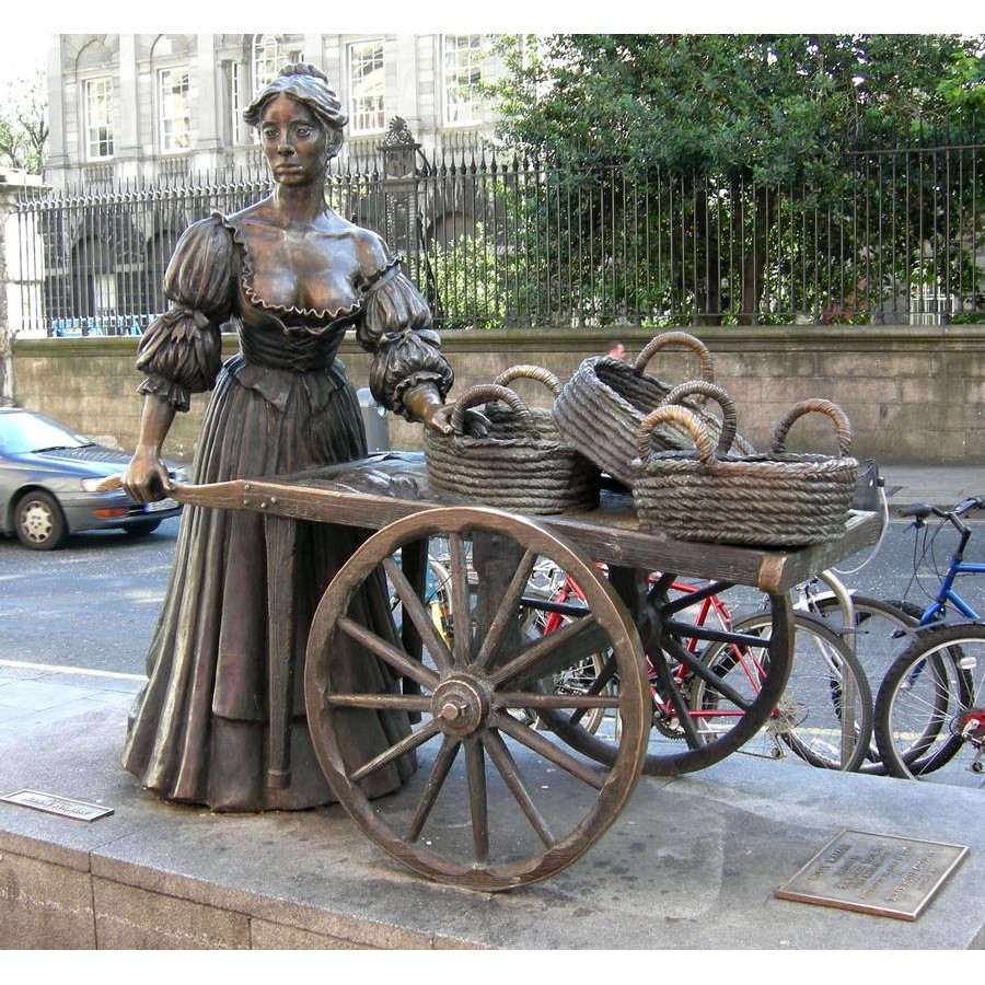 The Statue in Dublin The Statue in Dublin