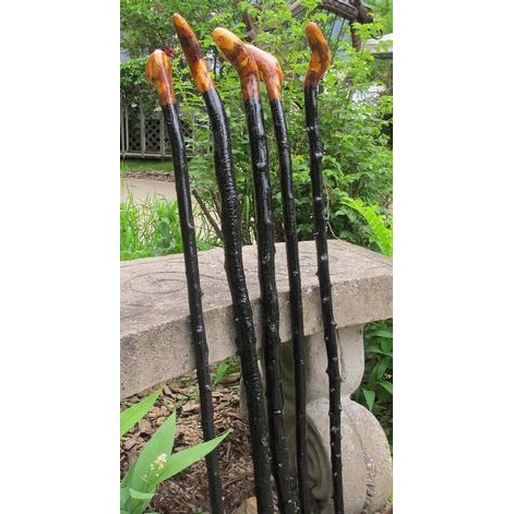 Blackthorn Walking Stick