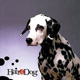 Hair Of The Dog, Collection