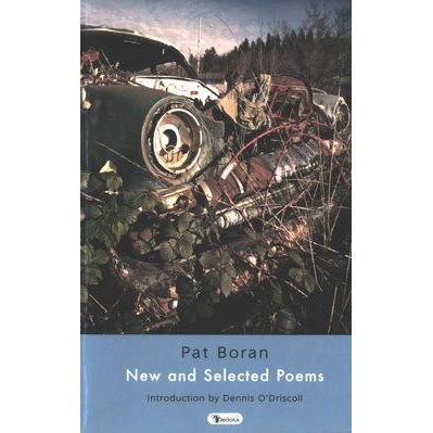 Pat Boran, New and Selected Poems