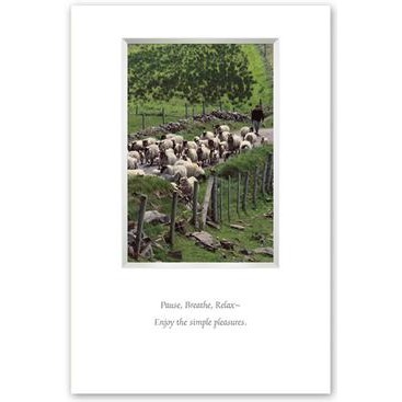 Irish Traffic Jam Framed