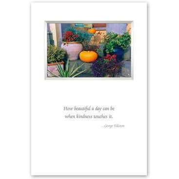 How Beautiful a day can be