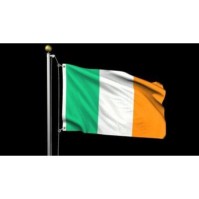 Irish Flag 2 x 3 feet