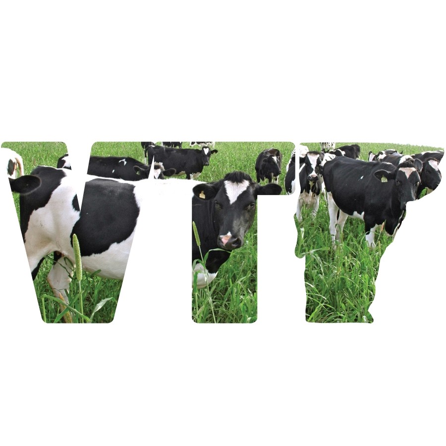 VT + State Sticker (Cow)
