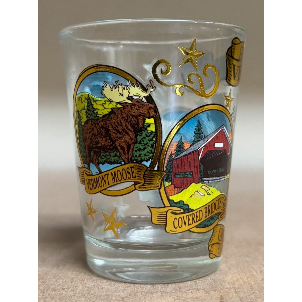 VT 4 Icons Shot Glass