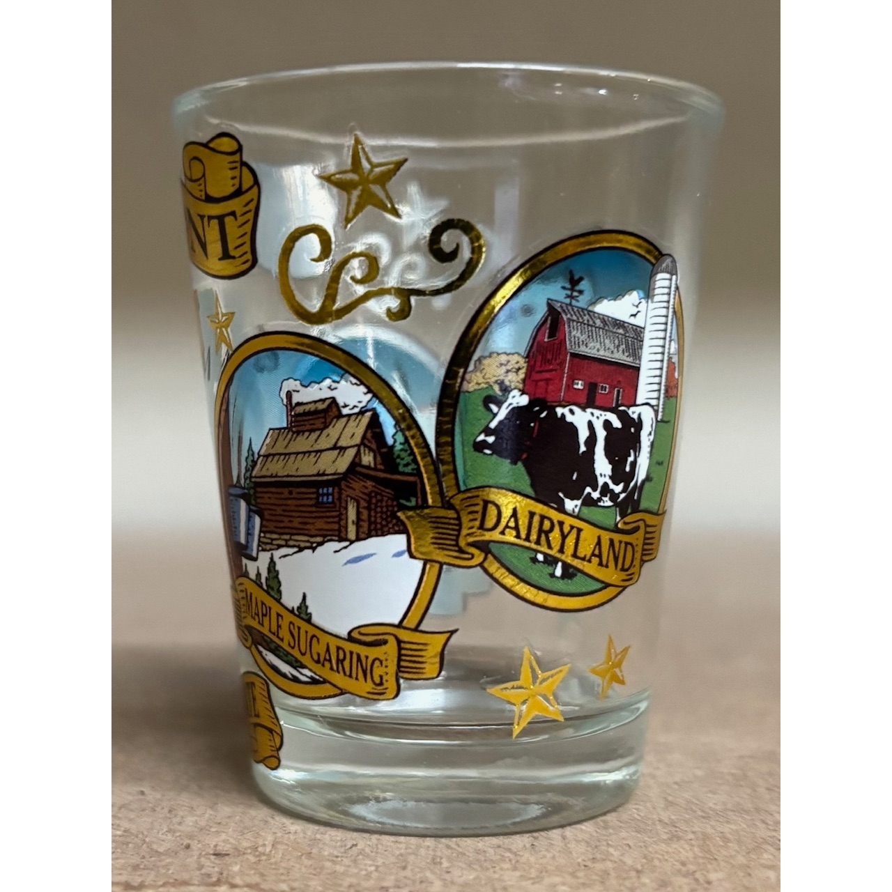 VT 4 Icons Shot Glass