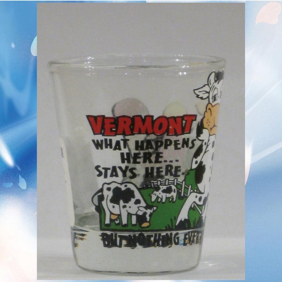 What Happens Here Stays Here Shot Glass