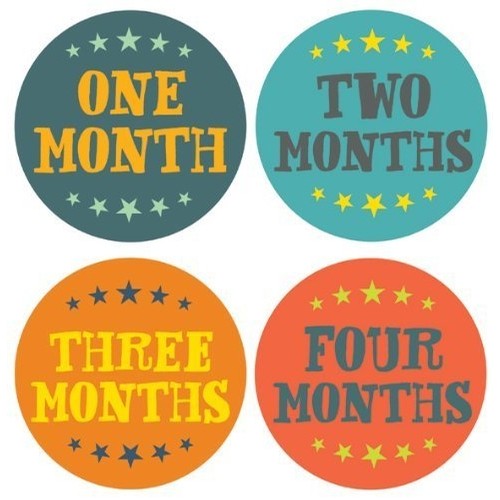 Monthly Baby Stickers-Little Champion