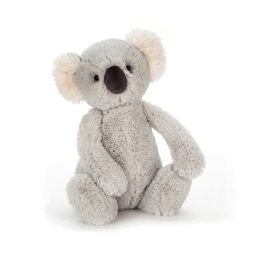 Bashful (Koala)
