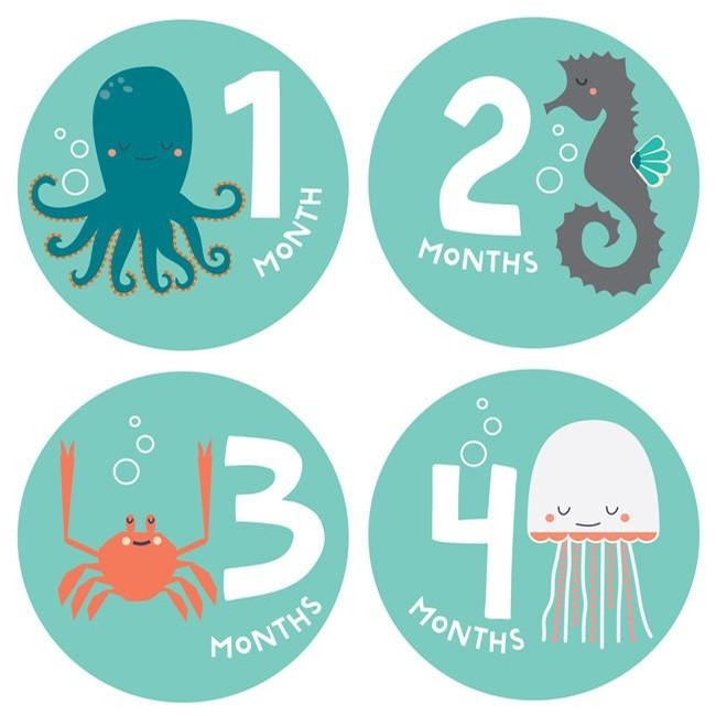 Monthly Stickers-Snorkeling Adventure