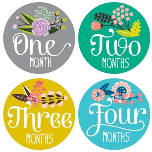 Monthly Baby Stickers-Little Artist
