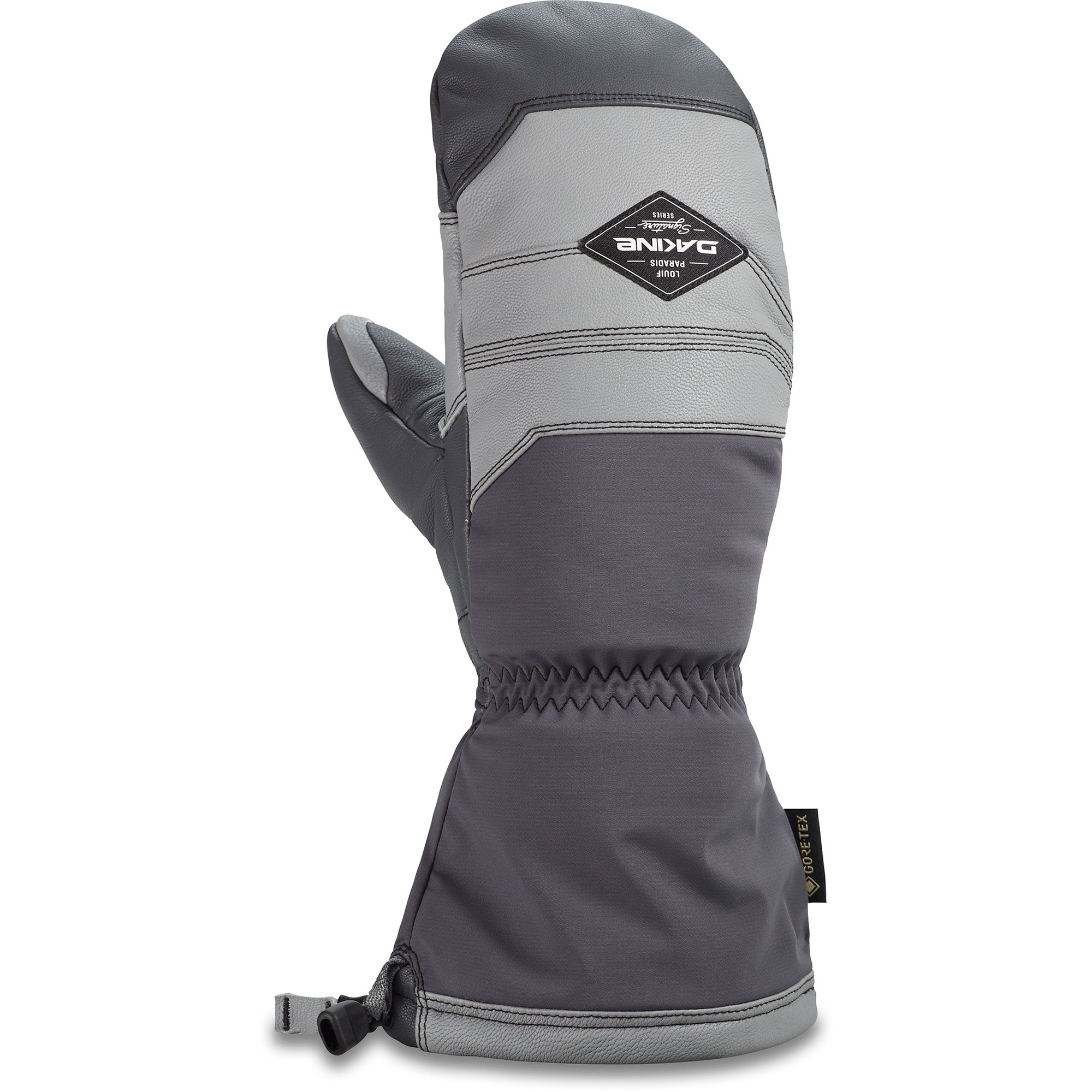 DAKINE TEAM EXCURSION MITT: LOUIF 