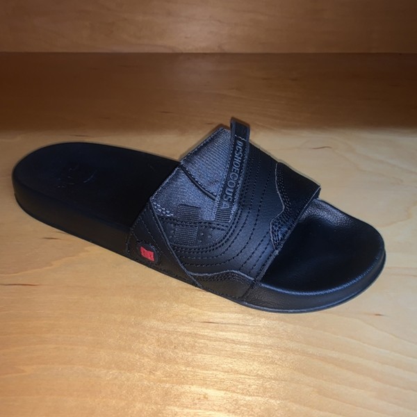 dc williams slides