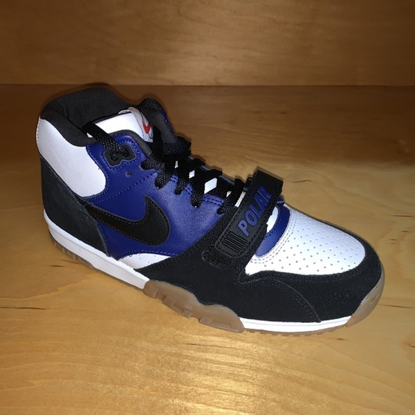 nike air trainer polar