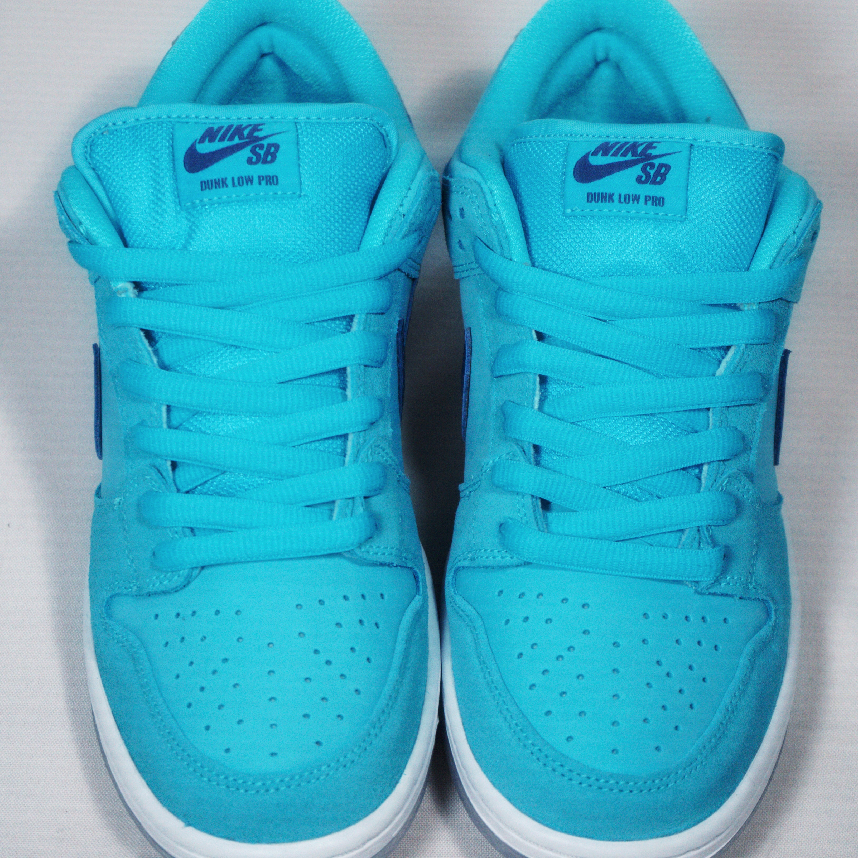 sb dunk blue fury raffle
