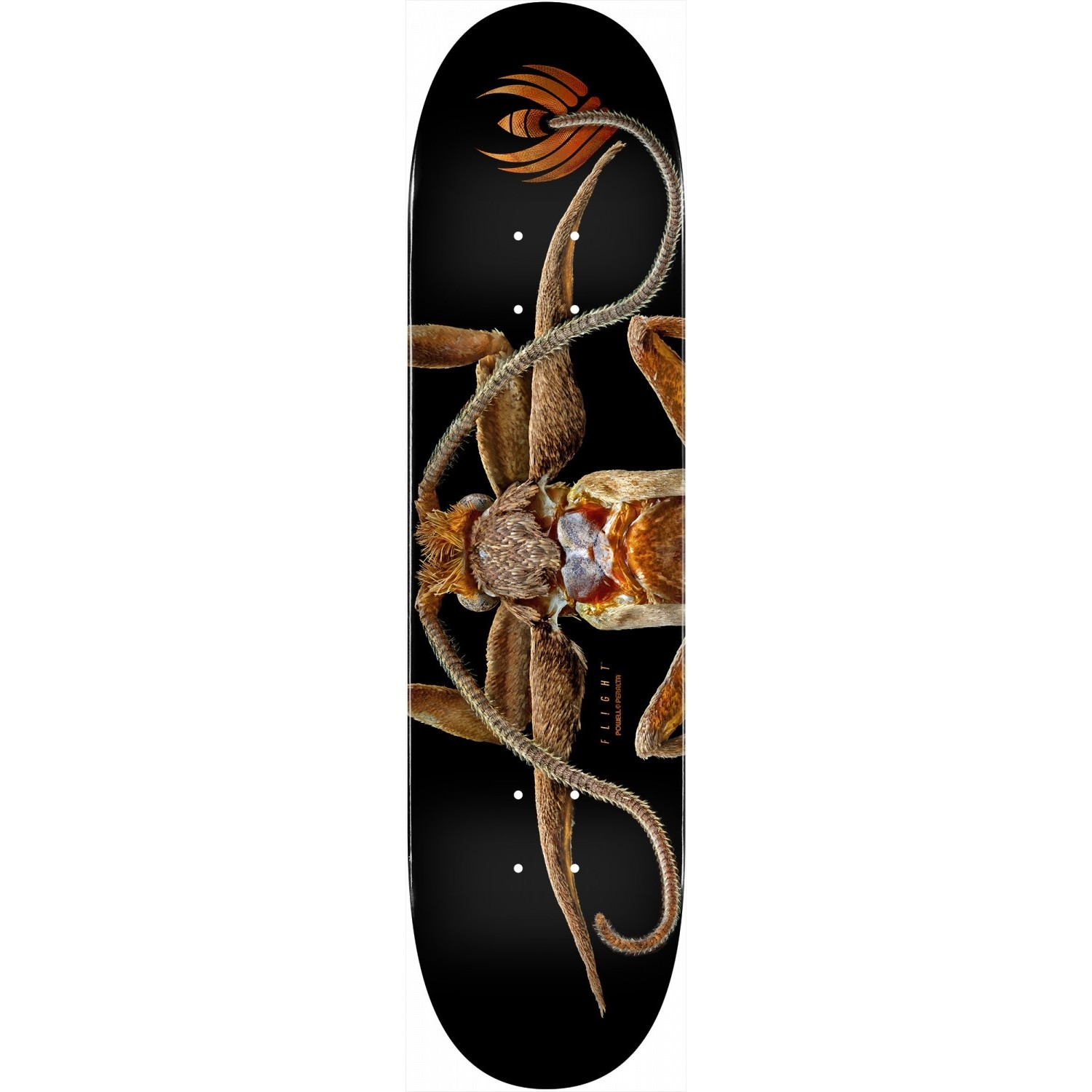 dlight skate palace dlight skate palace