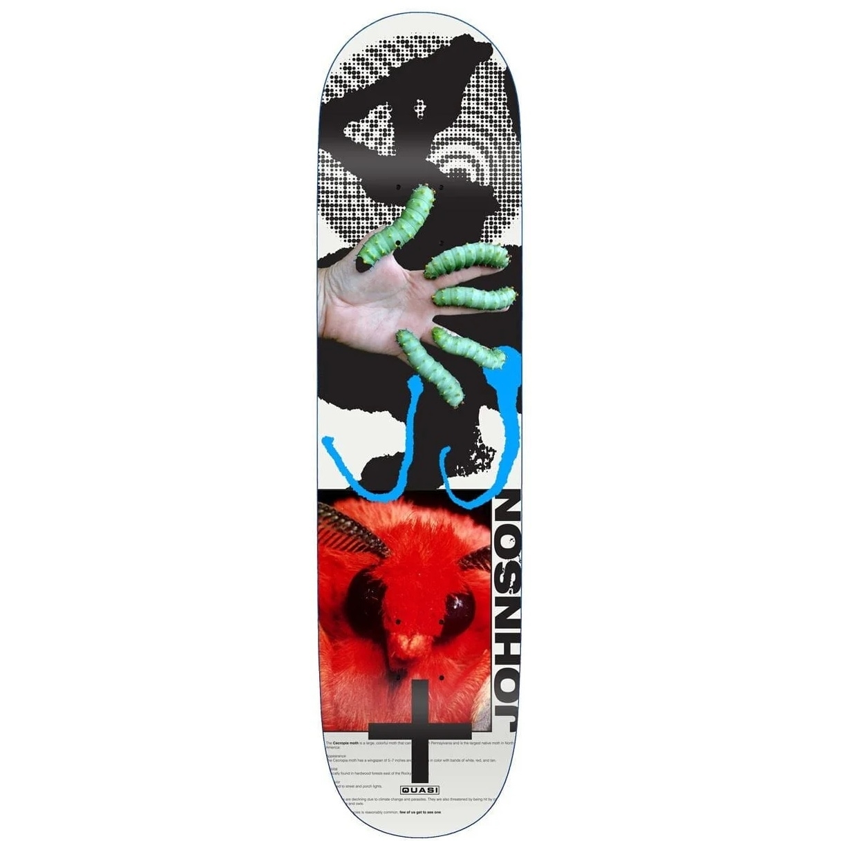 QUASI スケートボード 8.125\" x 31.75\" QUASI TEAM SEAM DECK 8.125inch | 東京のスケートボード